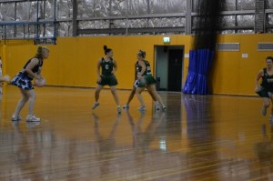 577289_10151119828364829_2039600260_n (800x533)